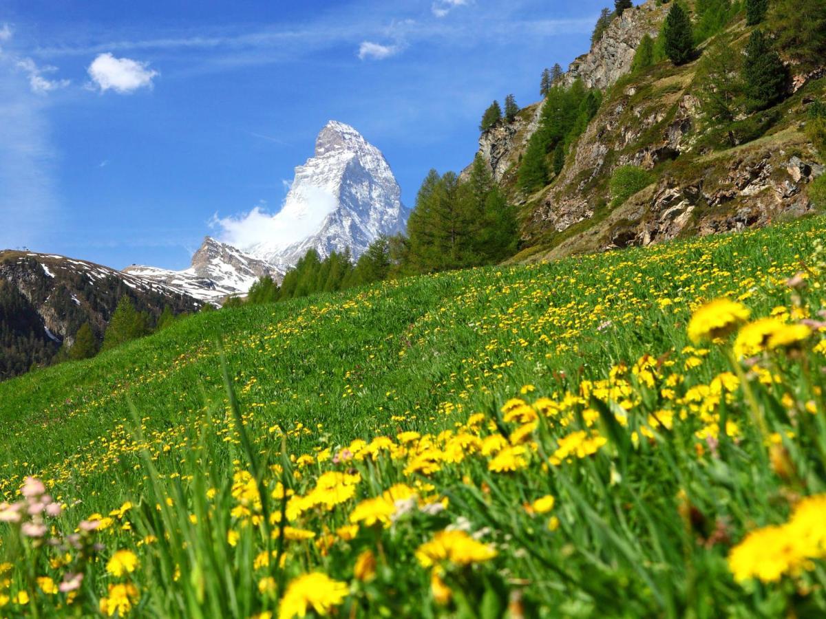 Apartment Armina By Interhome Zermatt Ngoại thất bức ảnh